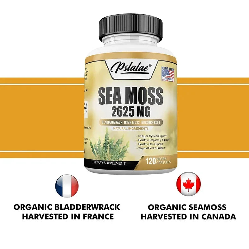 Sea Moss 2625 Mg