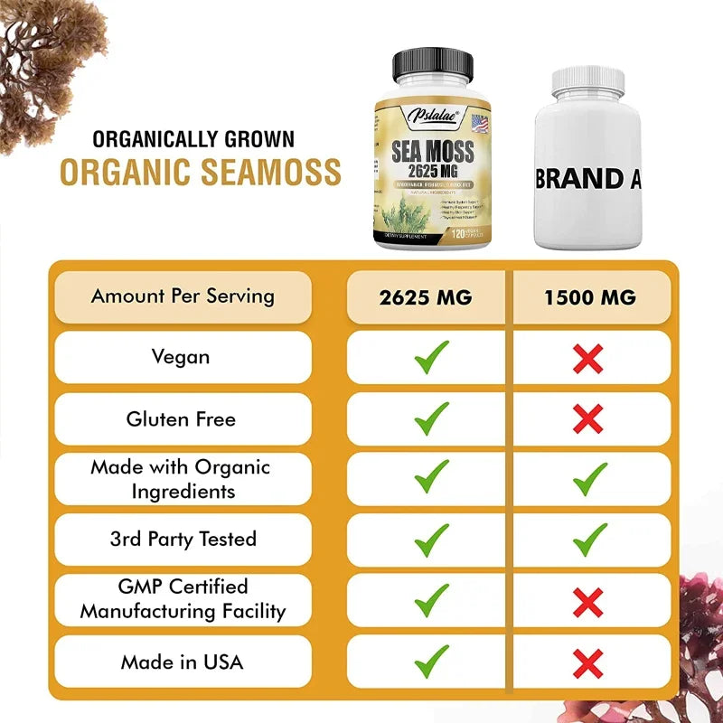 Sea Moss 2625 Mg